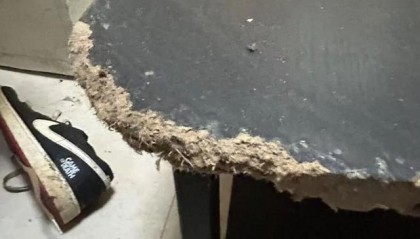 开云体育官网-女租户失联，房屋散发恶臭被严重损坏，昆明房东报警：损失预估2万以上，她曾自称刚毕业，手头紧；物业：屋内狗彻夜狂叫，邻居曾报警