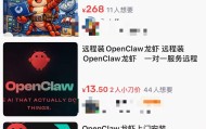 赛事分析-OpenClaw火了，最先赚钱的是上门安装，500元一次